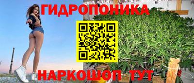 МДПВ Обнинск