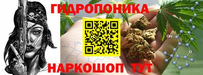 МДПВ Обнинск