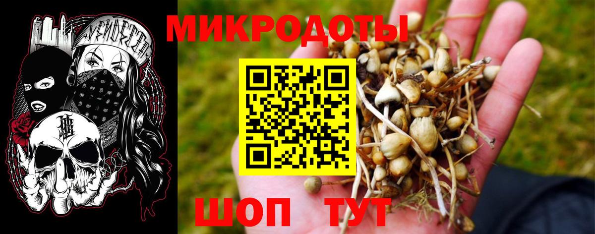 Солнечногорск  Галлюциногенные грибы мухоморы  Вход с VPN 